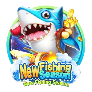 tbjili Live Dealer Experience